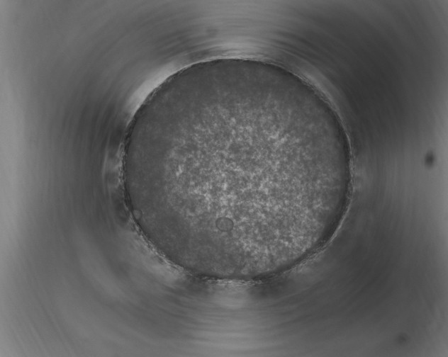 X0000115280875200912111224