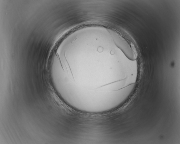 X0000115280876200912111224