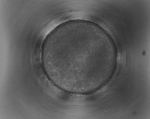 X0000115280877200912111224