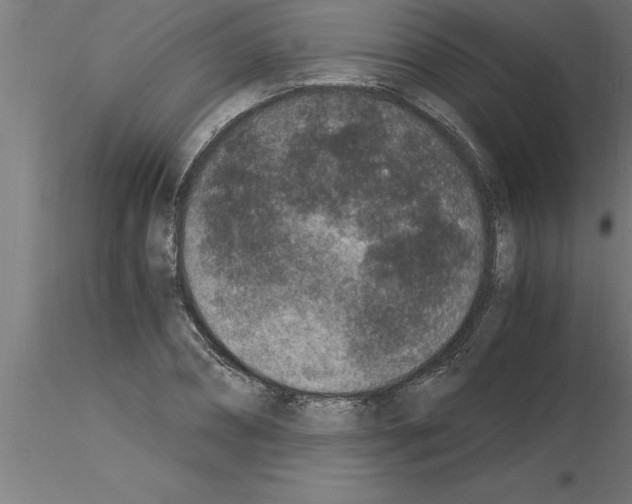 X0000115280882200912111224