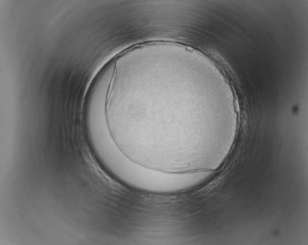 X0000115280884200912111224