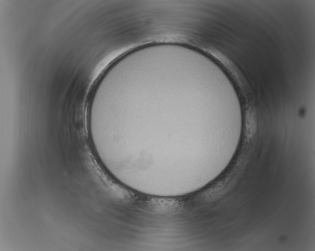 X0000115280886200912111224