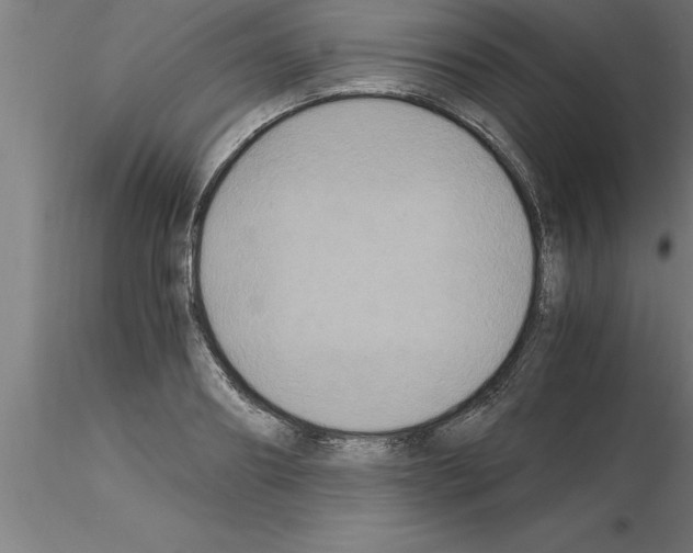 X0000115280890200912111224