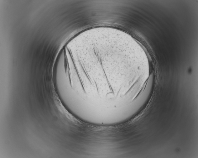 X0000115280892200912111224