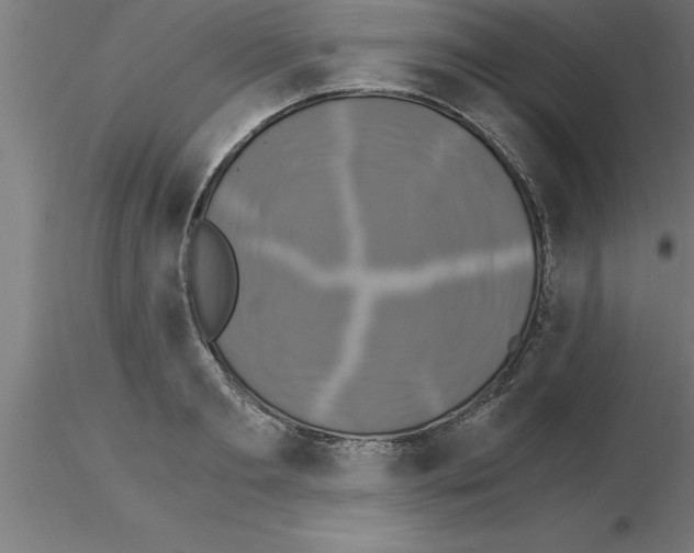 X0000115280893200912111224