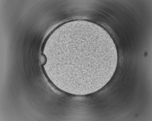 X0000115280894200912111224