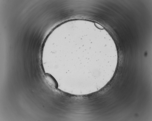 X0000115280896200912111223