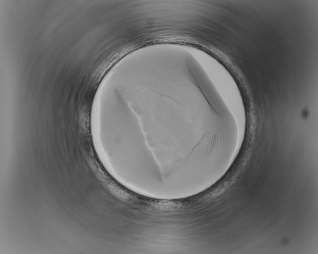 X0000115280897200912111223