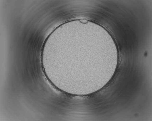 X0000115280898200912111223