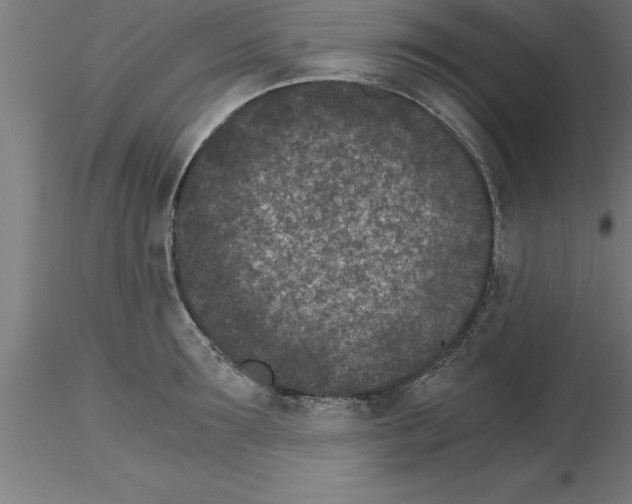 X0000115280899200912111223