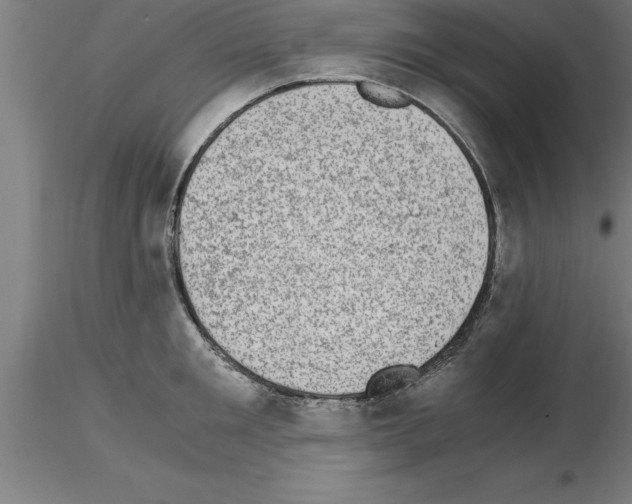 X0000115280901200912111223