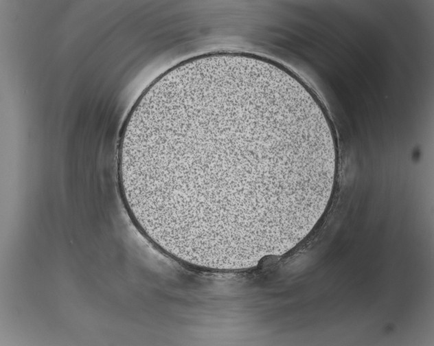 X0000115280903200912111223