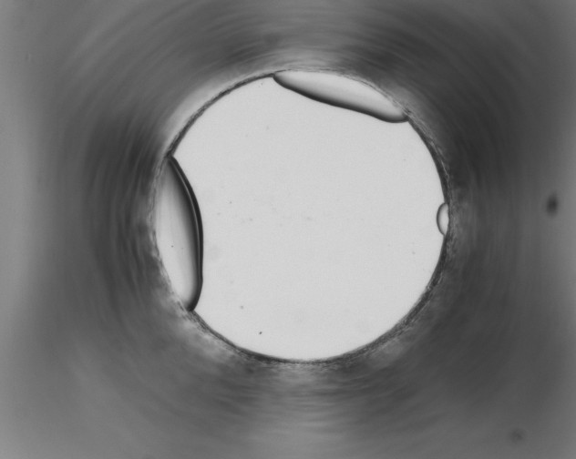 X0000115280904200912111223