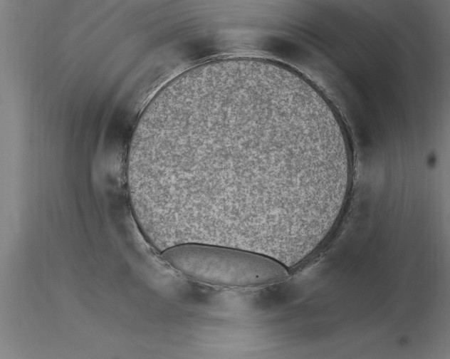 X0000115280905200912111223