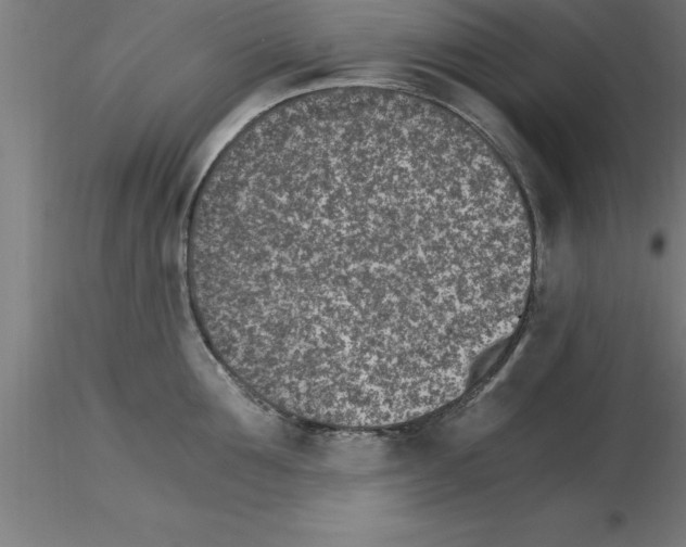 X0000115280907200912111223