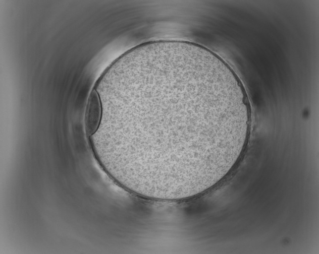 X0000115280909200912111223