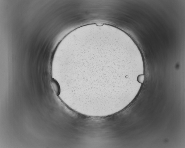 X0000115280910200912111223