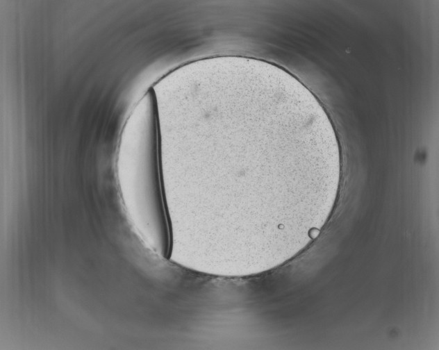 X0000115280912200912111223