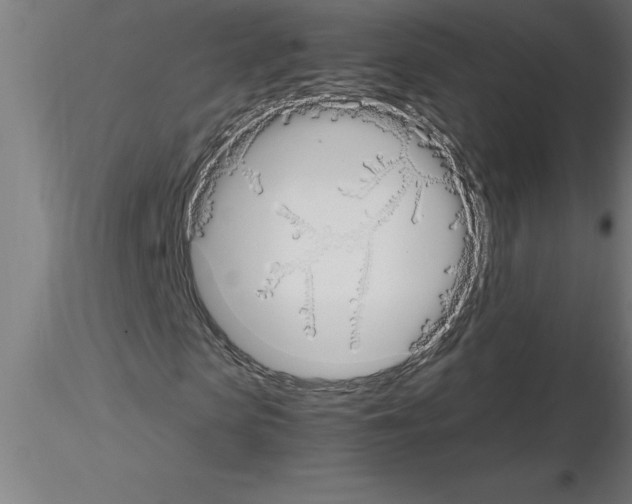 X0000115280913200912111223