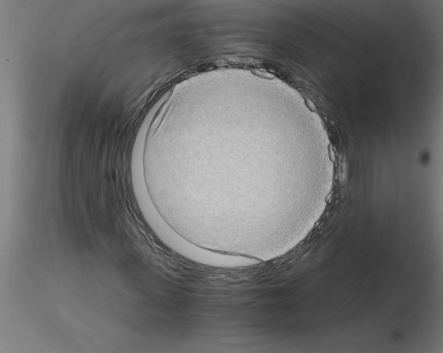 X0000115280915200912111223