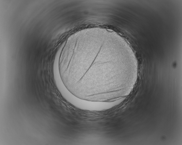 X0000115280917200912111223