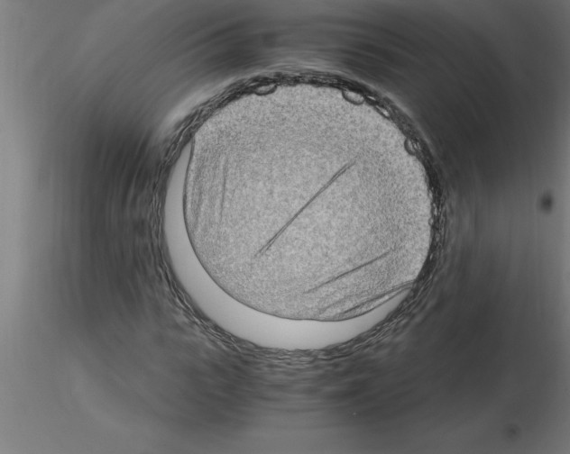 X0000115280919200912111223