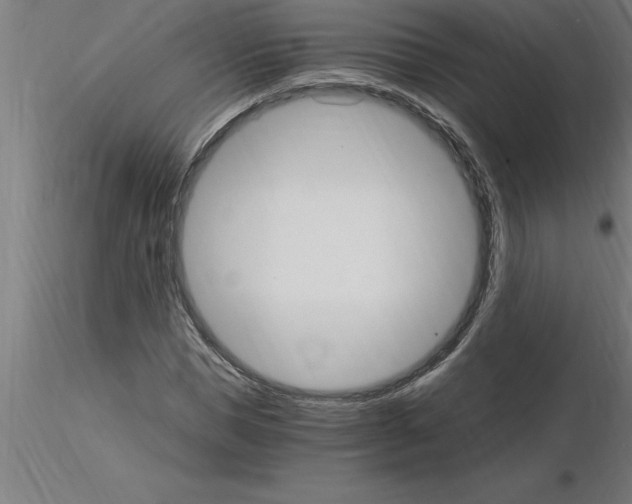 X0000115280921200912111223