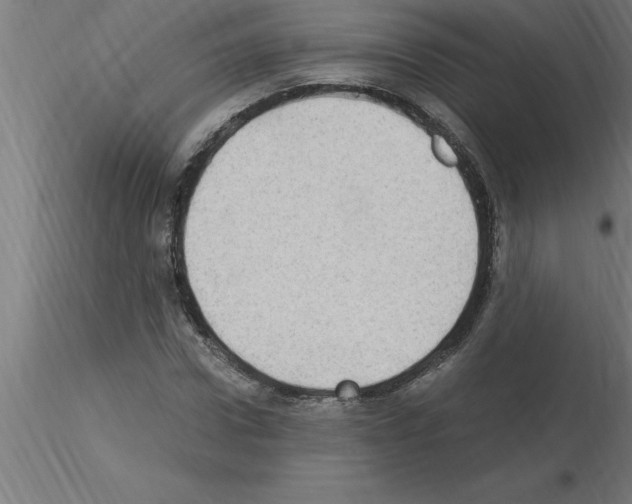 X0000115280922200912111223