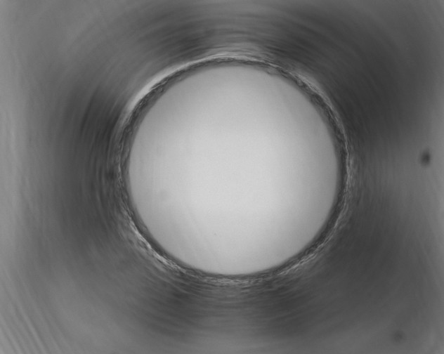 X0000115280923200912111223