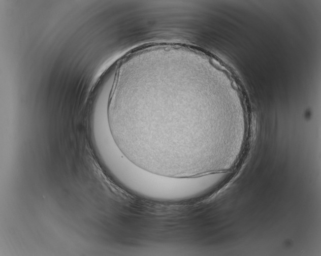 X0000115280925200912111223