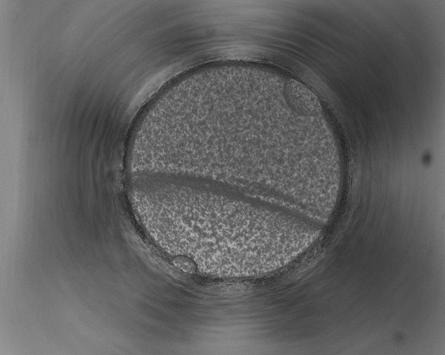 X0000115280930200912111223