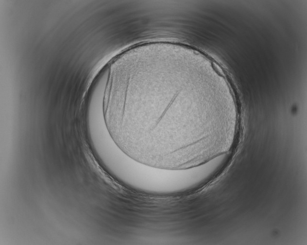 X0000115280933200912111223