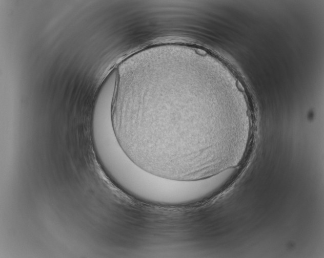 X0000115280937200912111223