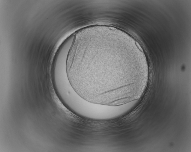 X0000115280939200912111223