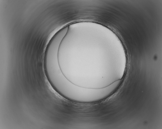 X0000115280941200912111223