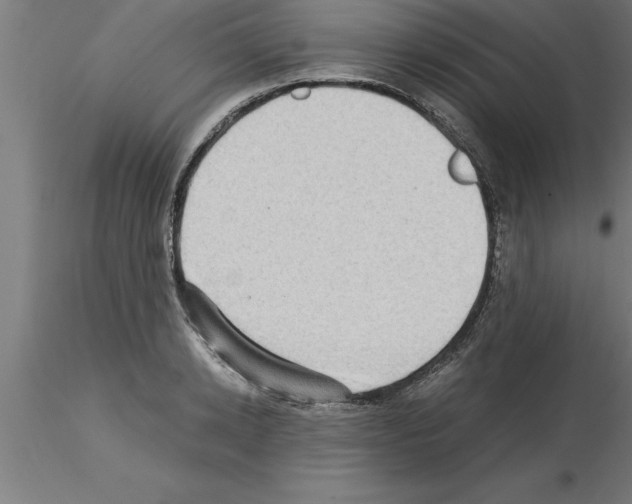 X0000115280942200912111223