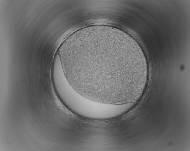 X0000115280946200912111223