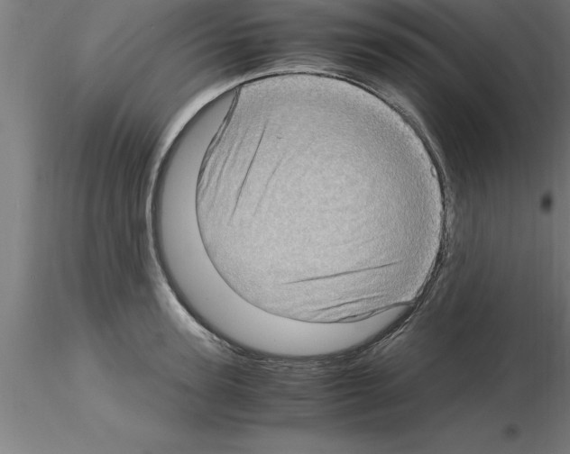 X0000115280947200912111223