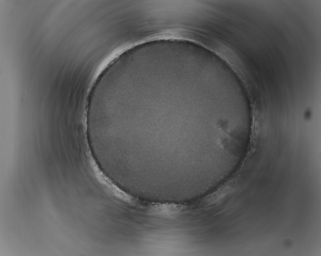 X0000115280950200912111223