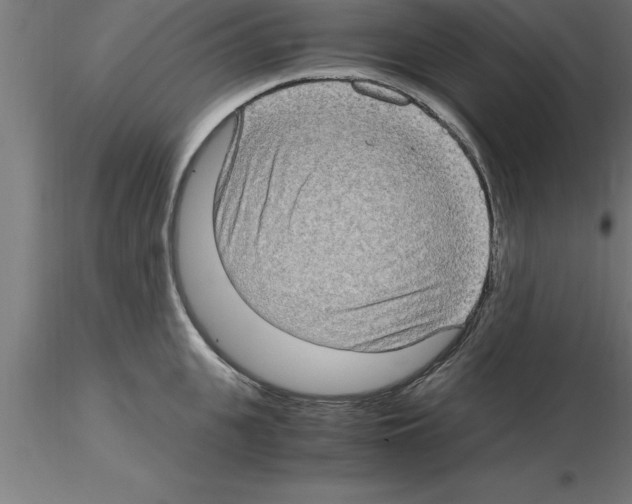 X0000115280951200912111223