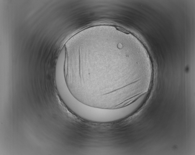 X0000115280953200912111223