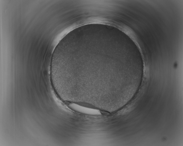 X0000115280954200912111223