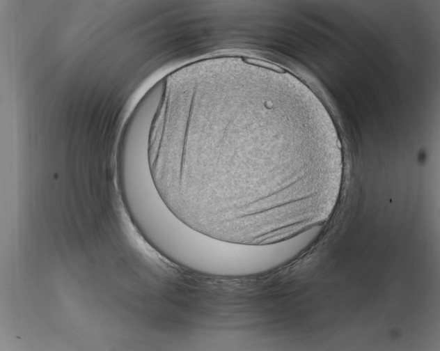 X0000115280955200912111223