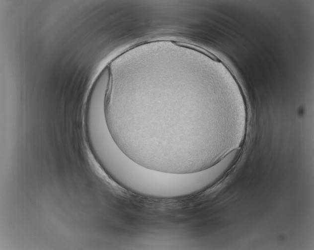 X0000115280957200912111223