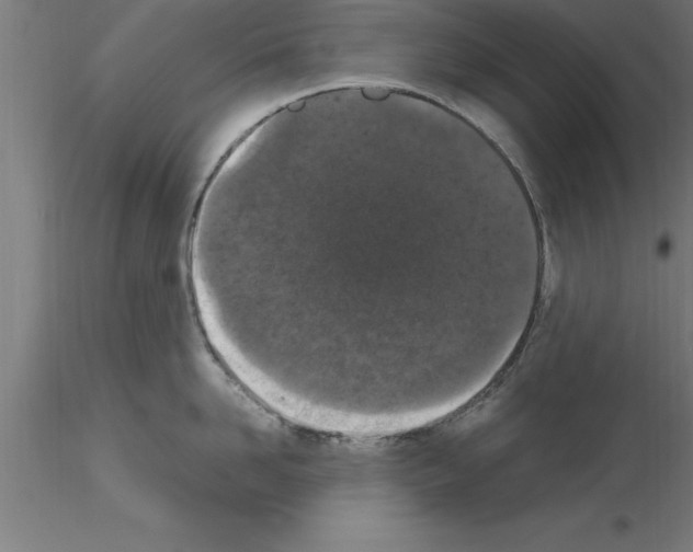 X0000115280958200912111223