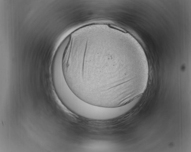 X0000115280959200912111223