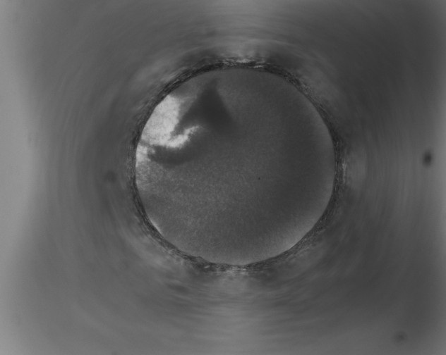 X0000115280961200912111223