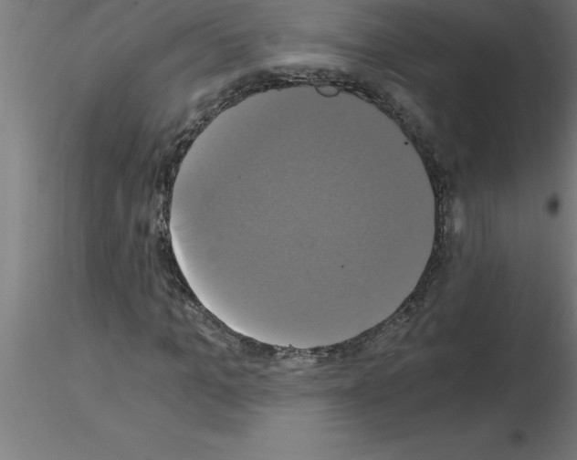 X0000115280965200912111223