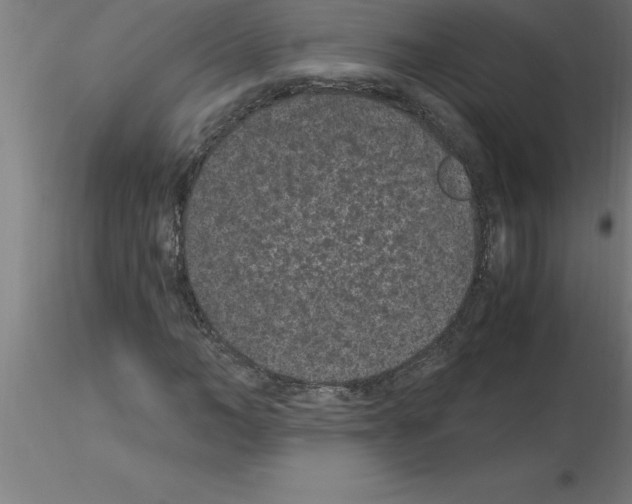 X0000115280966200912111223