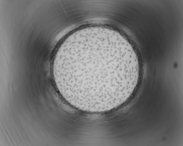 X0000115280970200912111222